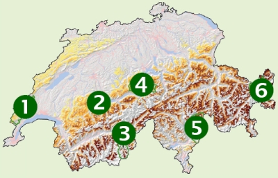 AlpFUTUR Fallstudienregionen